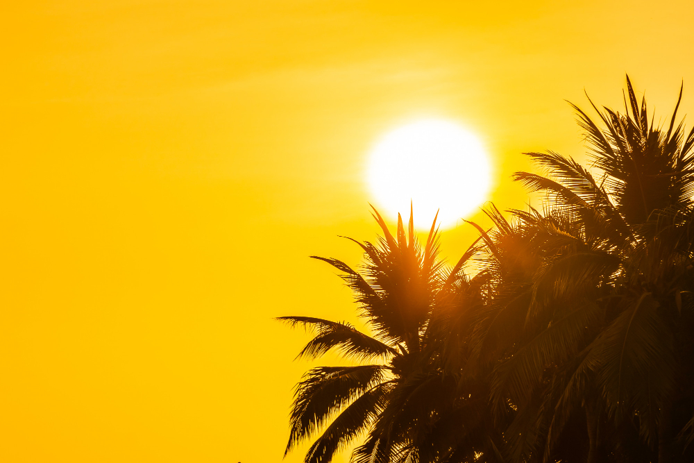 Nuova ondata di caldo attesa all’inizio di settembre