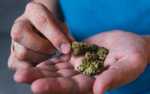 Arrestata al confine con 54 grammi di cocaina nascosti