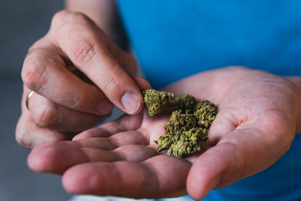 Arrestata al confine con 54 grammi di cocaina nascosti