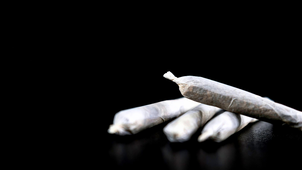 Arrestato 36enne con droga nei boschi