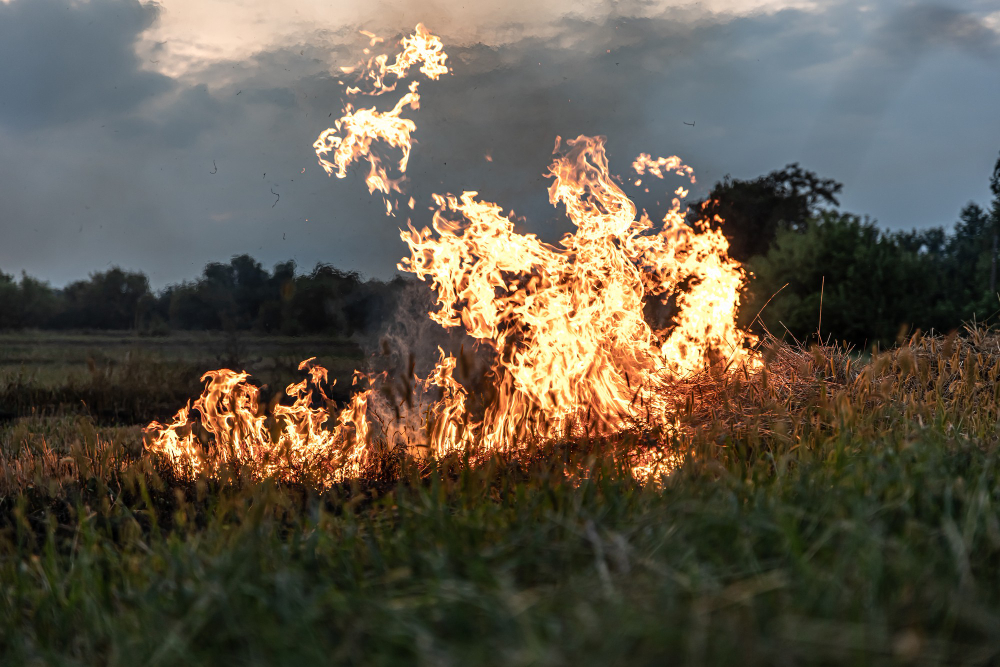 Incendio in un bed and breakfast, intervento dei vigili del fuoco