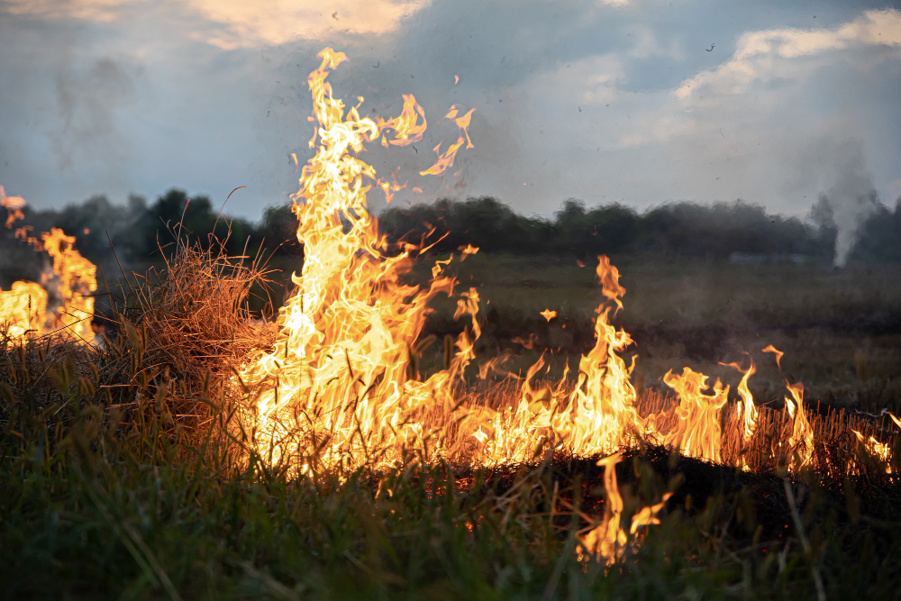 Auto in fiamme a Fenegrò, conducente si mette in salvo