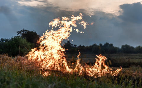 Incendi boschivi, rafforzati controlli e pattugliamenti