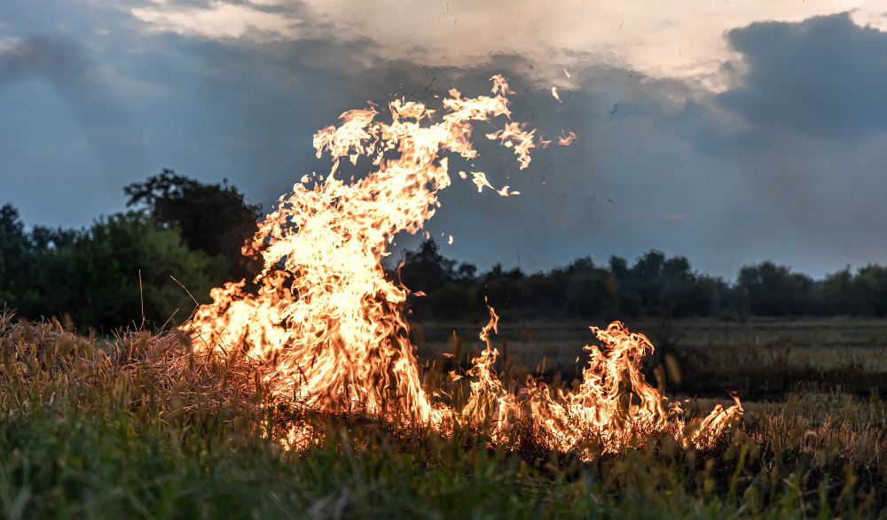 Incendi boschivi, rafforzati controlli e pattugliamenti