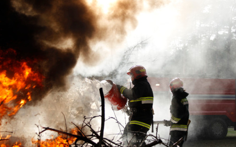 Incendio in appartamento: vigili del fuoco salvano un cane