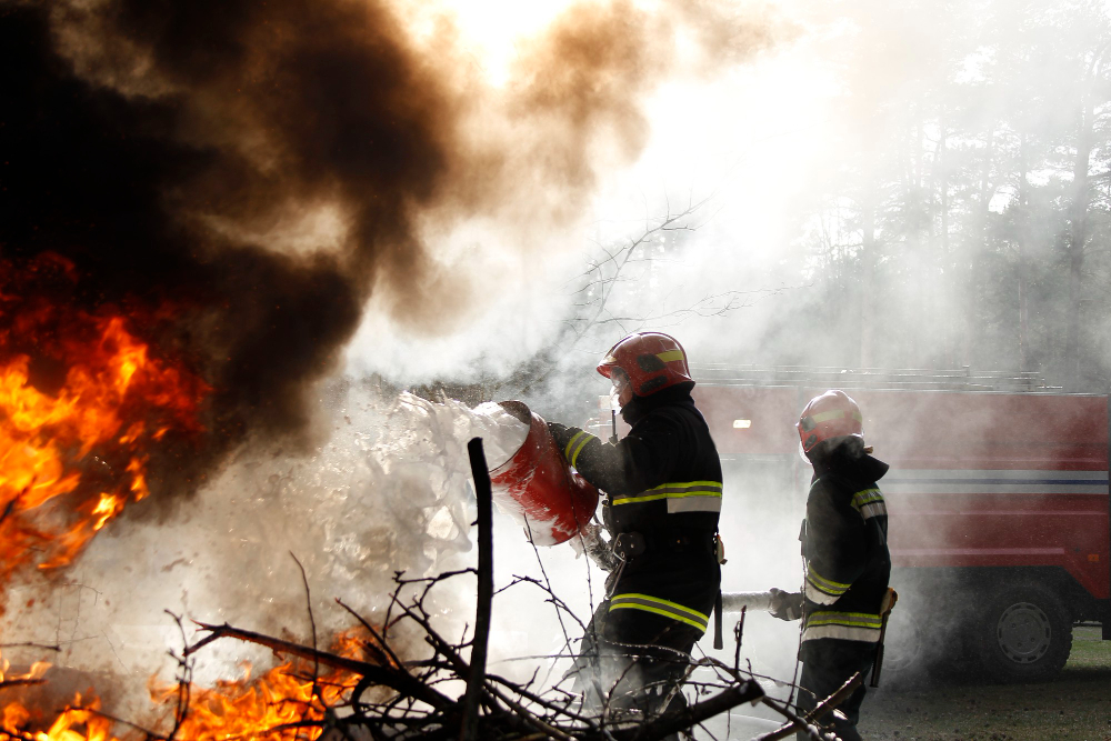 Incendio in appartamento: vigili del fuoco salvano un cane