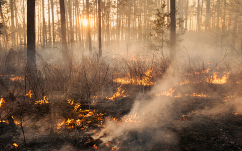 Monte Goi, notte di controlli dopo l’incendio