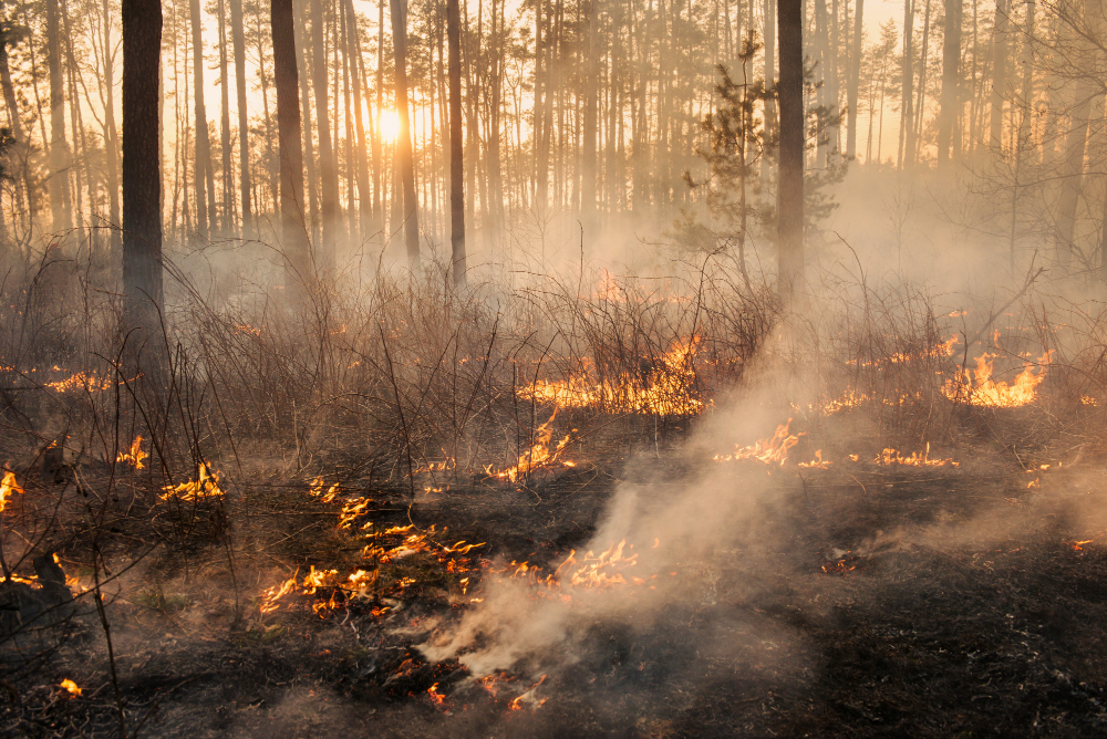Monte Goi, notte di controlli dopo l’incendio