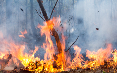Incendi boschivi, allerta arancione in Lombardia