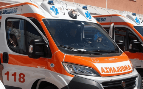 Cavalli selvatici feriscono un cane durante un’escursione