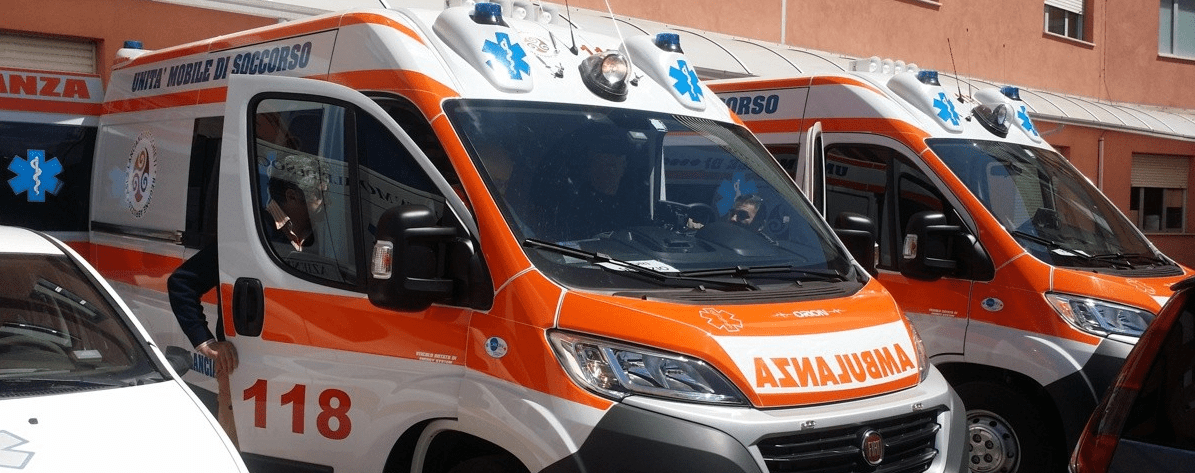 Cavalli selvatici feriscono un cane durante un’escursione