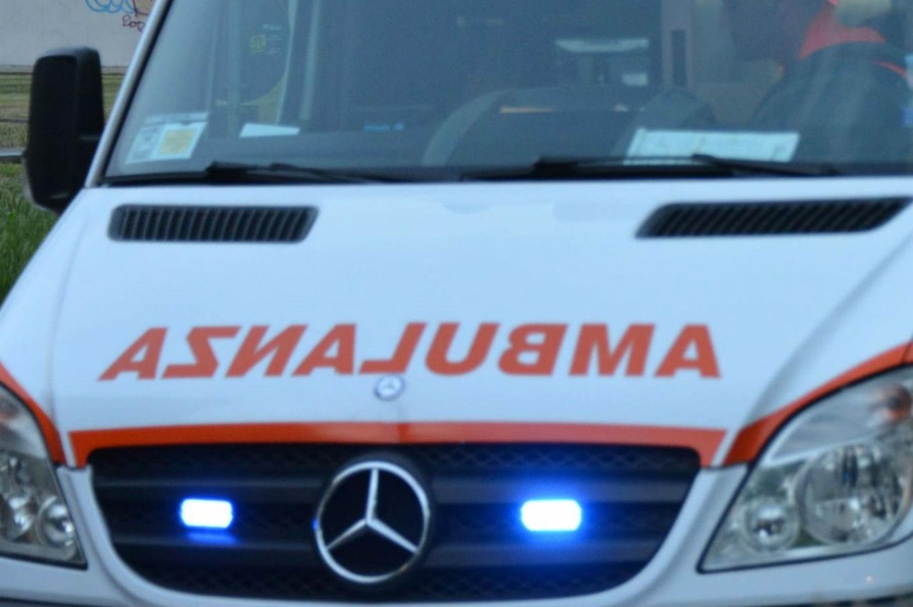 Atena abbandonata in pensione cerca una nuova famiglia