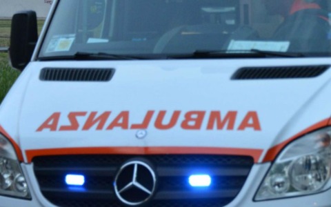 Atena abbandonata in pensione cerca una nuova famiglia
