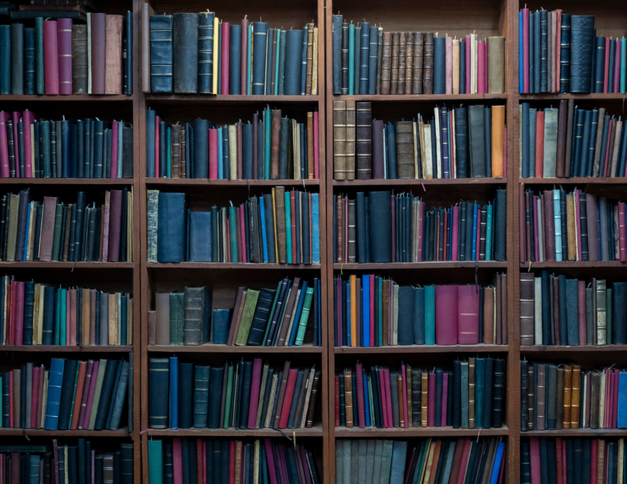 Accessi alla biblioteca durante le vacanze estive