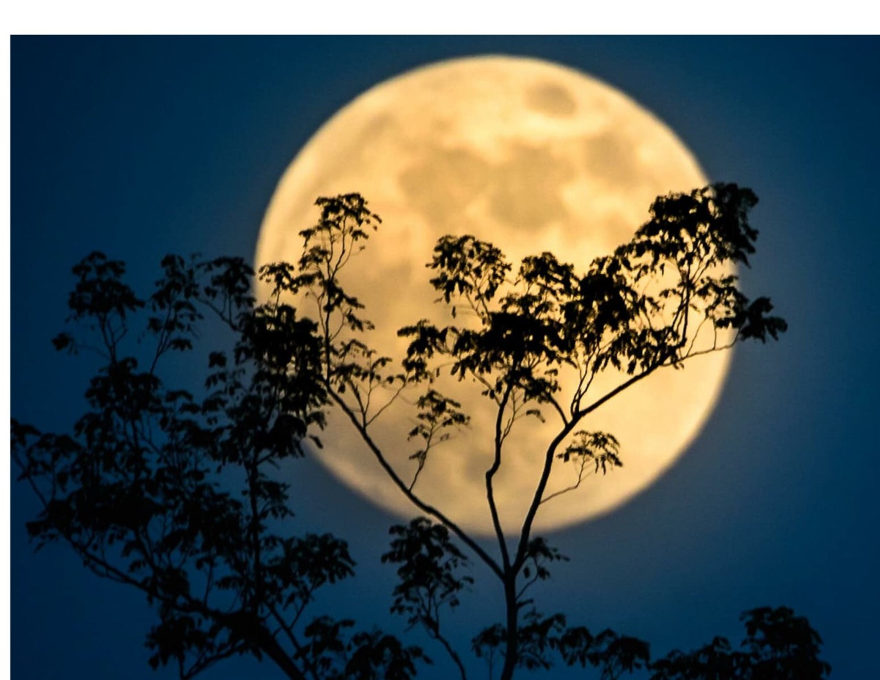 La Superluna del Castoro illuminerà il cielo di Como