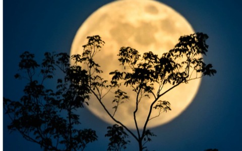 La Superluna del Castoro illuminerà il cielo di Como